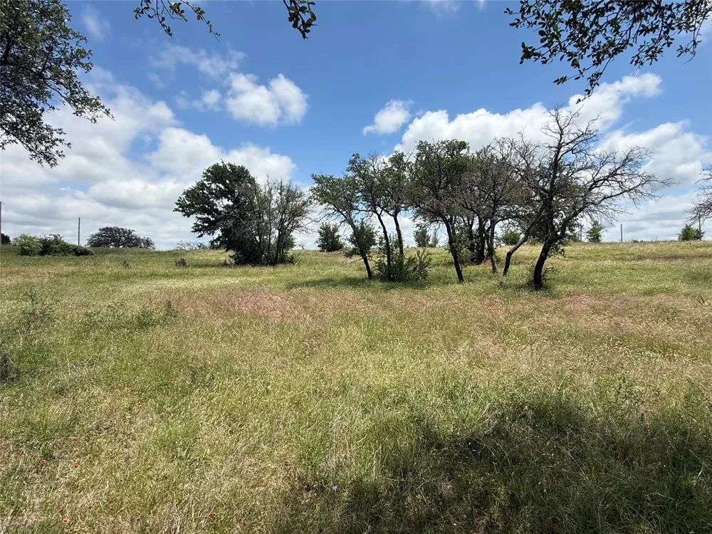 10131 Horizon View Tolar, TX 76476
