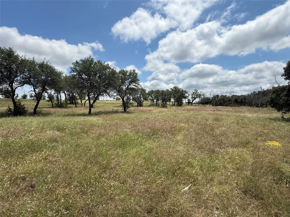 10131 Horizon View Tolar, TX 76476