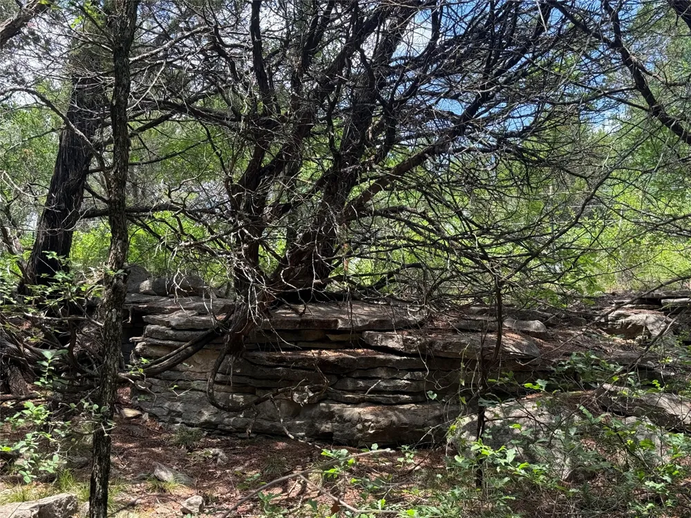 10131 Horizon View Tolar, TX 76476