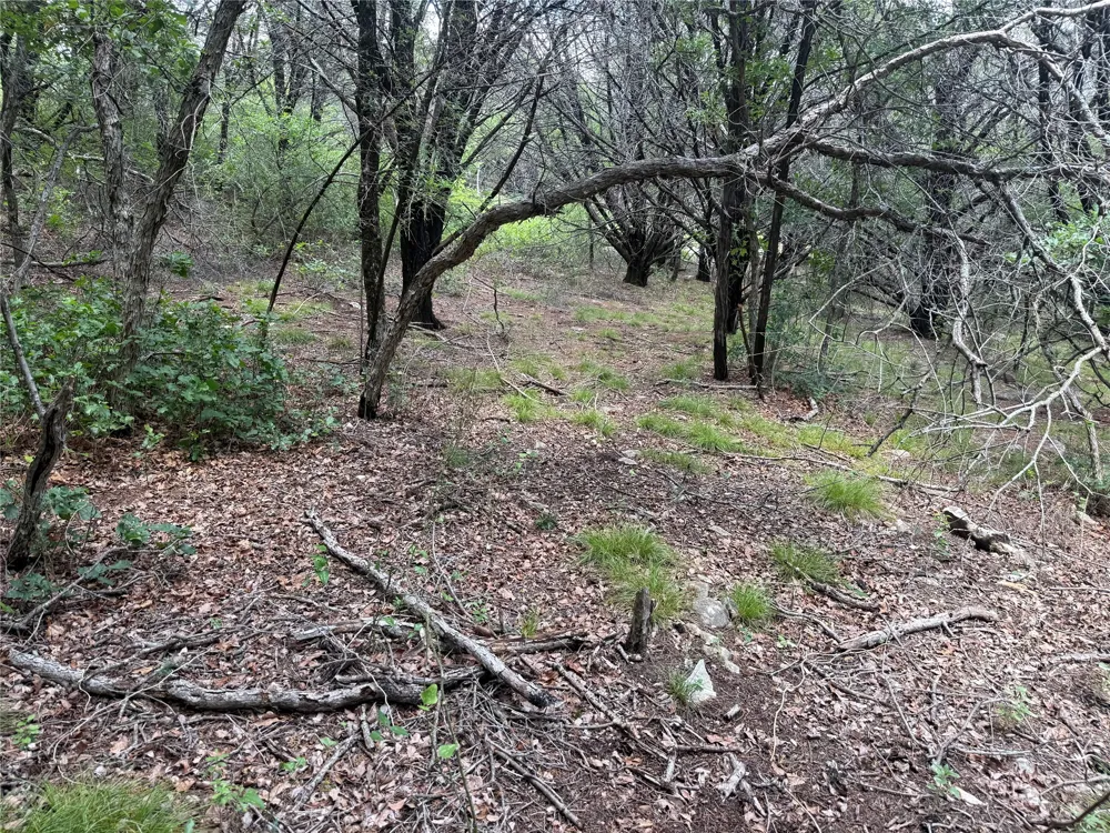 10131 Horizon View Tolar, TX 76476
