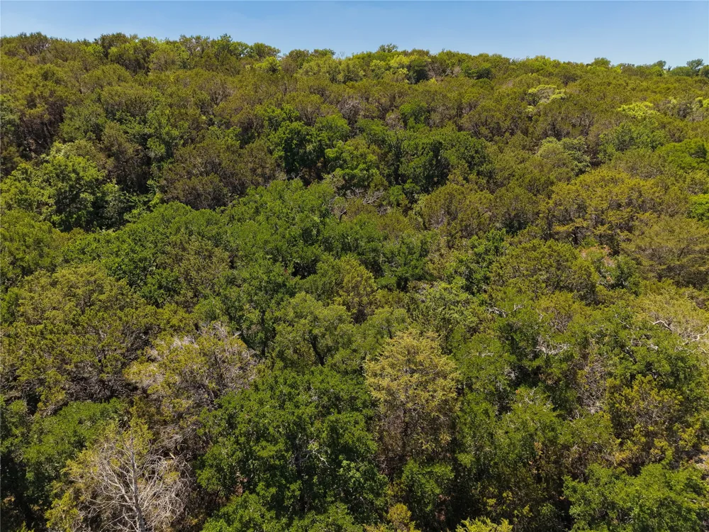 10131 Horizon View Tolar, TX 76476