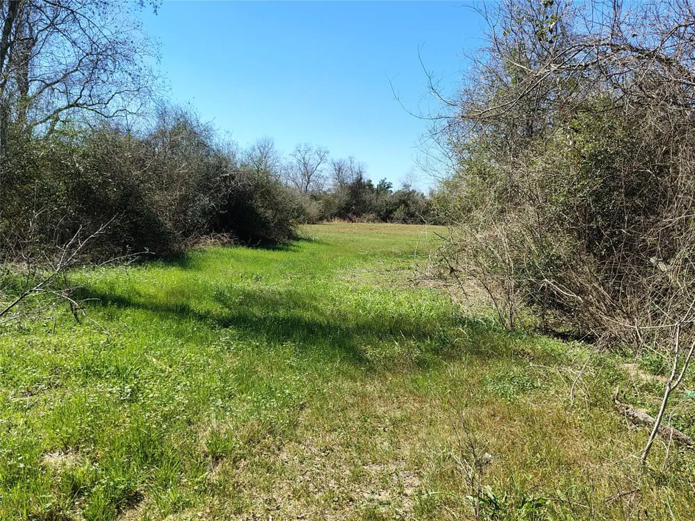 Brumlow Road Waller, TX 77484