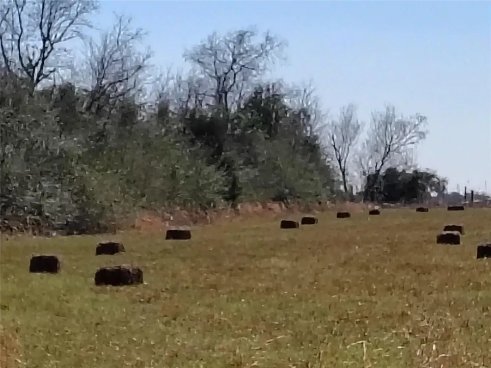 Brumlow Road Waller, TX 77484