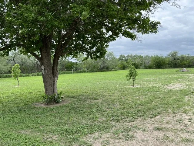 State Highwy 359 Realitos, TX 78376