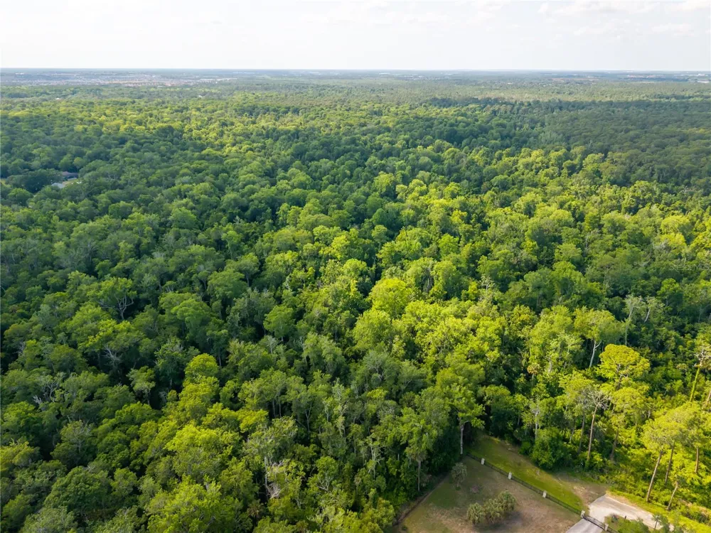 CHOCTAW TRAIL Kissimmee, FL 34747