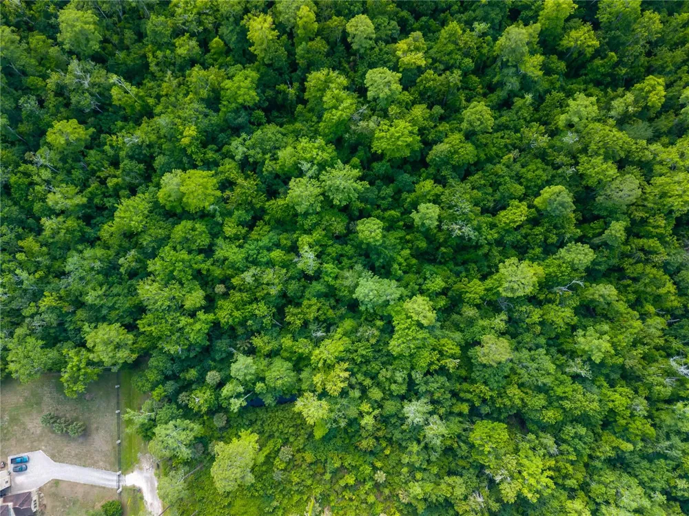 CHOCTAW TRAIL Kissimmee, FL 34747