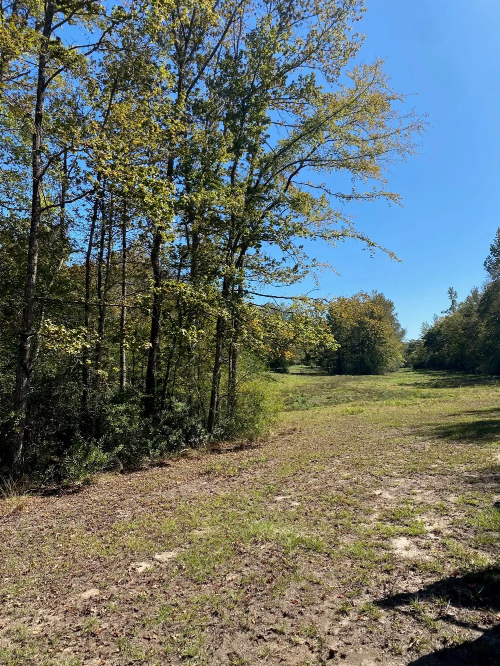 County Road 242 Oakwood, TX 75855