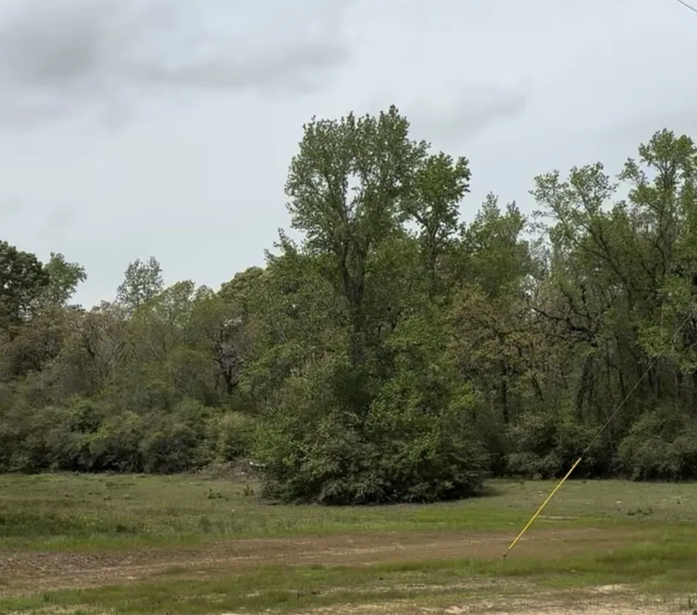County Road 242 Oakwood, TX 75855