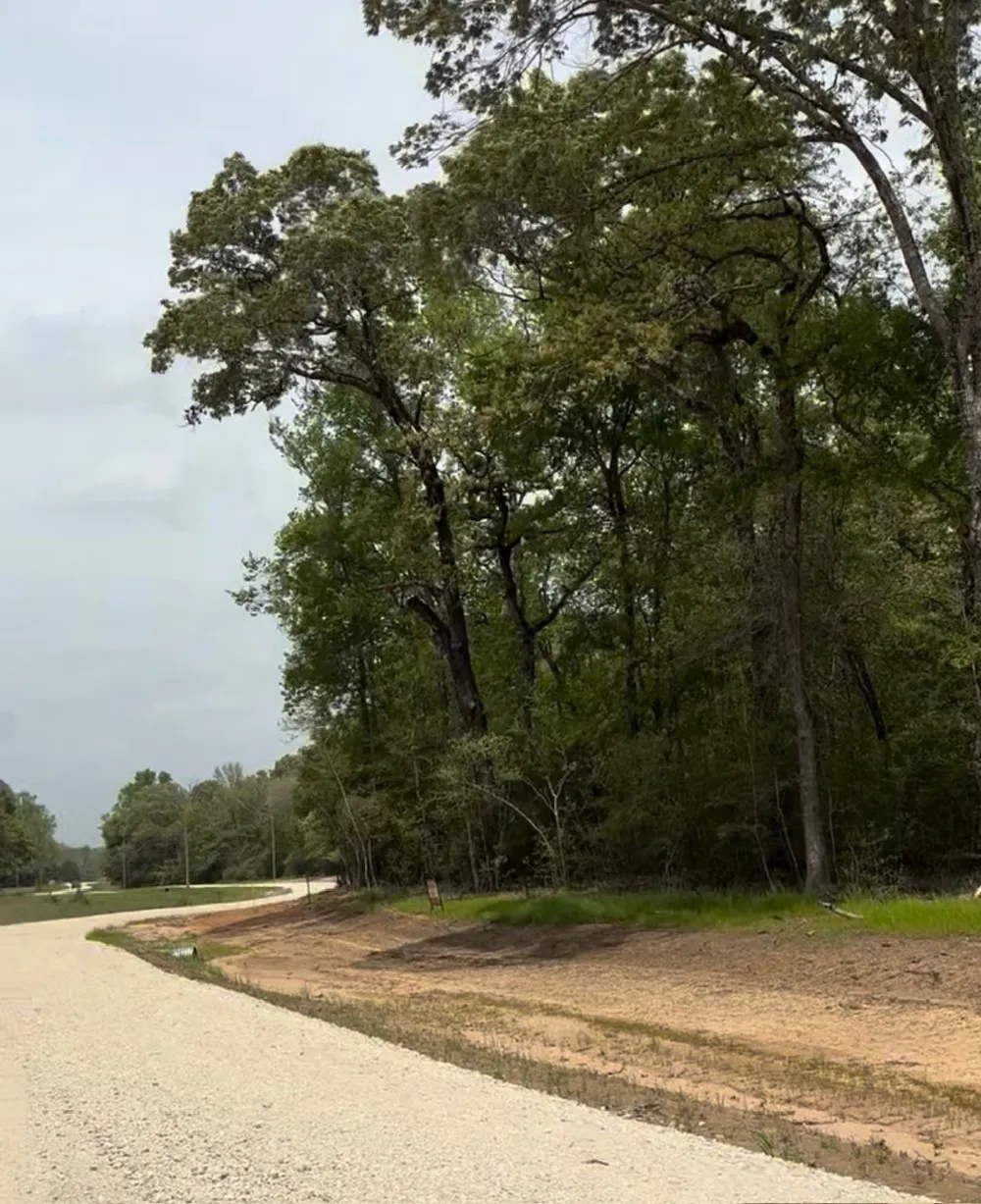 County Road 242 Oakwood, TX 75855