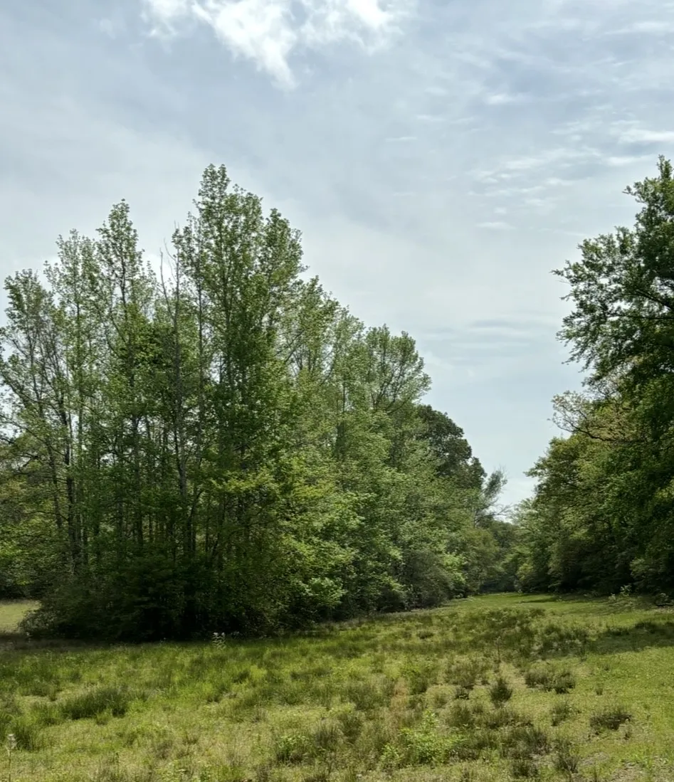 County Road 242 Oakwood, TX 75855