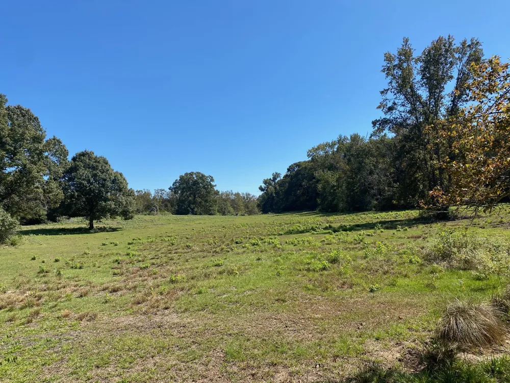 County Road 242 Oakwood, TX 75855