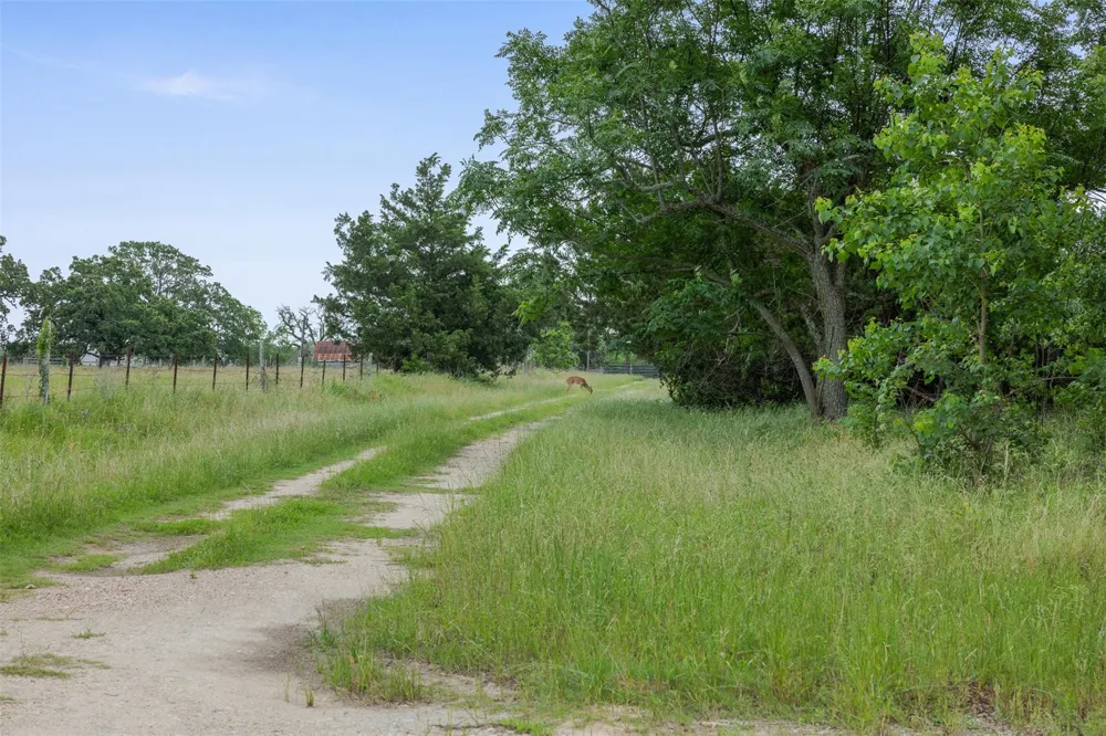 120 Avenue M Somerville, TX 77879
