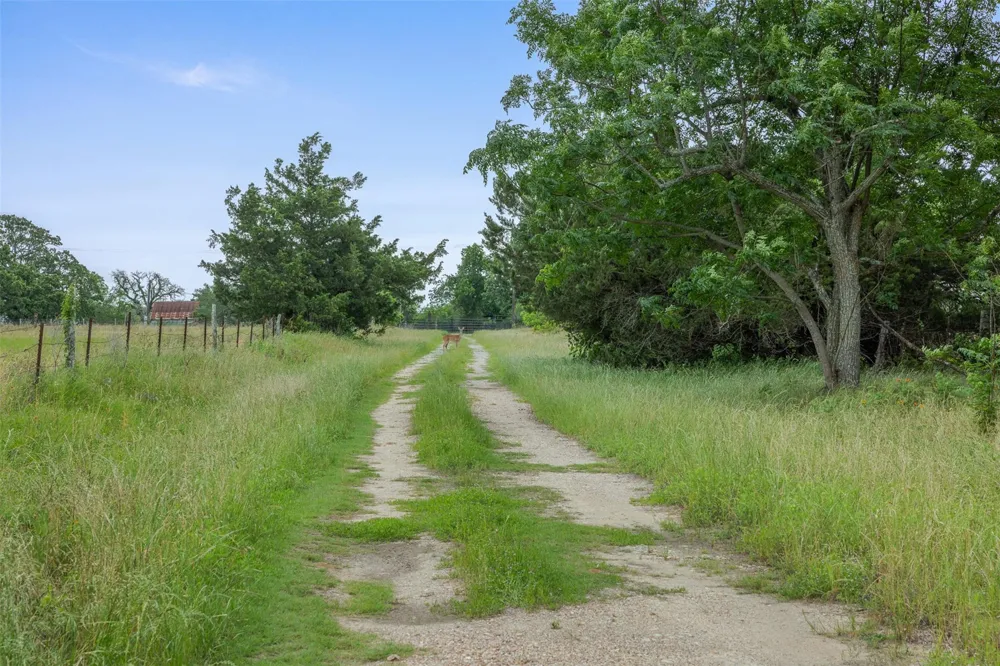 120 Avenue M Somerville, TX 77879