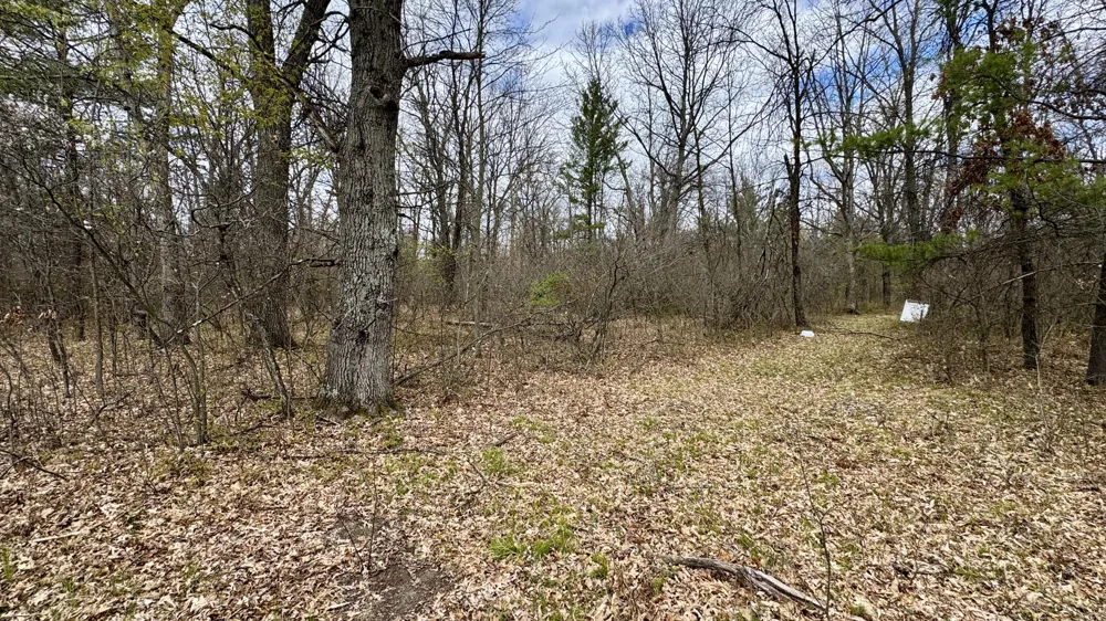 1496 17 Mile Road Marion, MI 49665