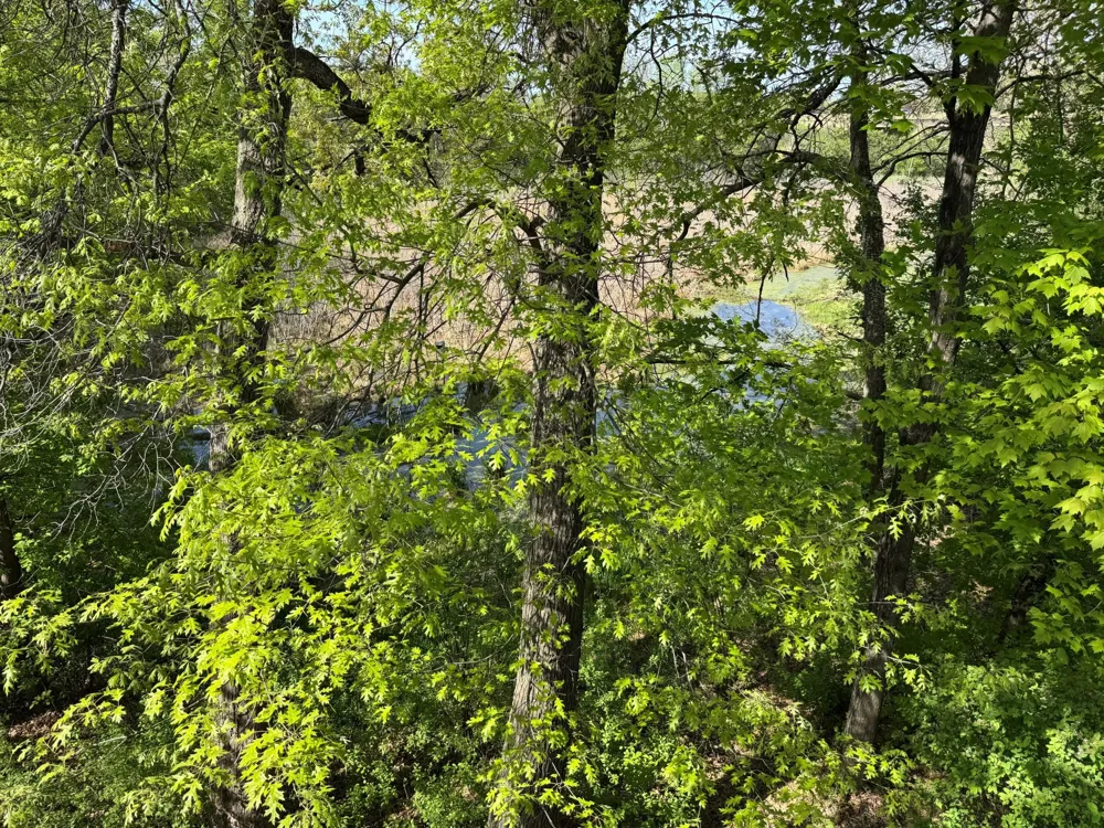 5542 Rowland Road Hopkins, MN 55343