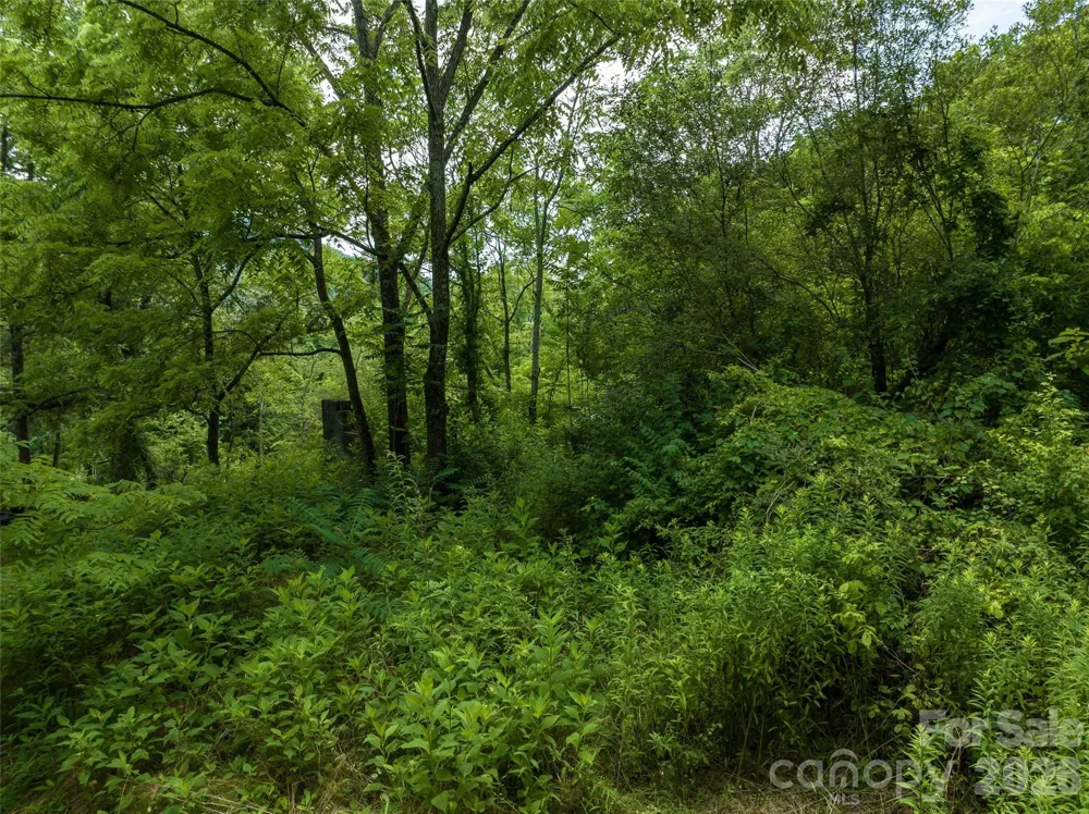99999 US 70 Highway Swannanoa, NC 28778