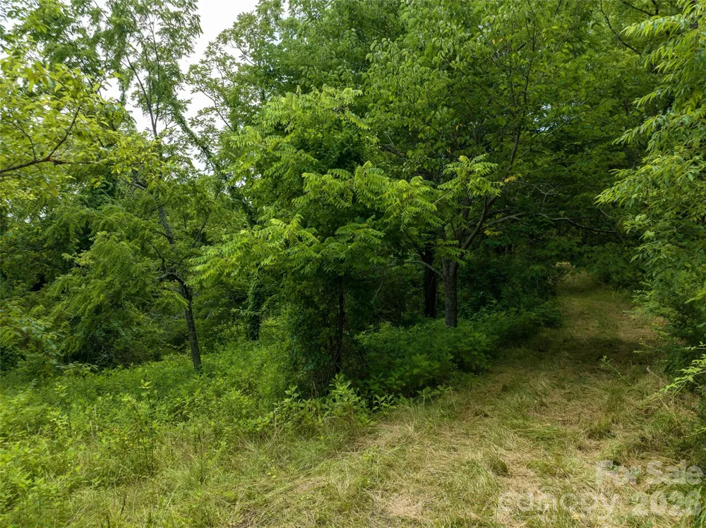 99999 US 70 Highway Swannanoa, NC 28778