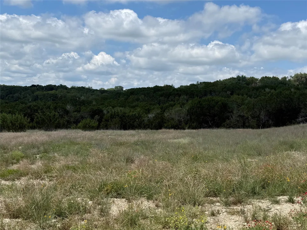 10151 Horizon View Tolar, TX 76476
