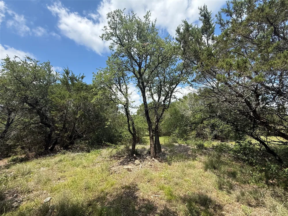 10151 Horizon View Tolar, TX 76476