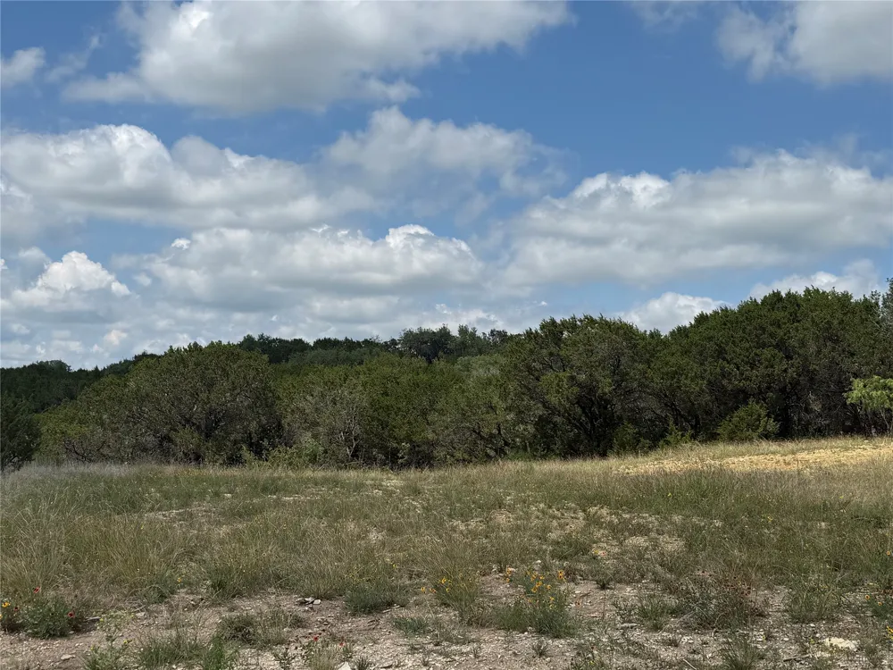 10151 Horizon View Tolar, TX 76476