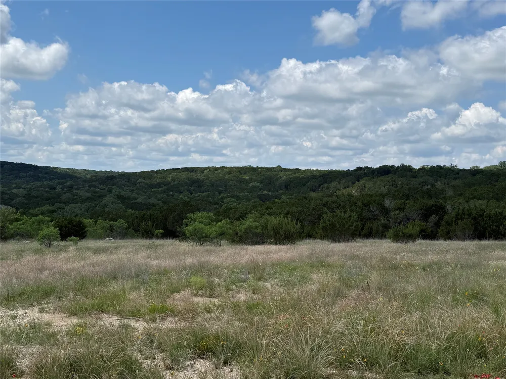 10151 Horizon View Tolar, TX 76476