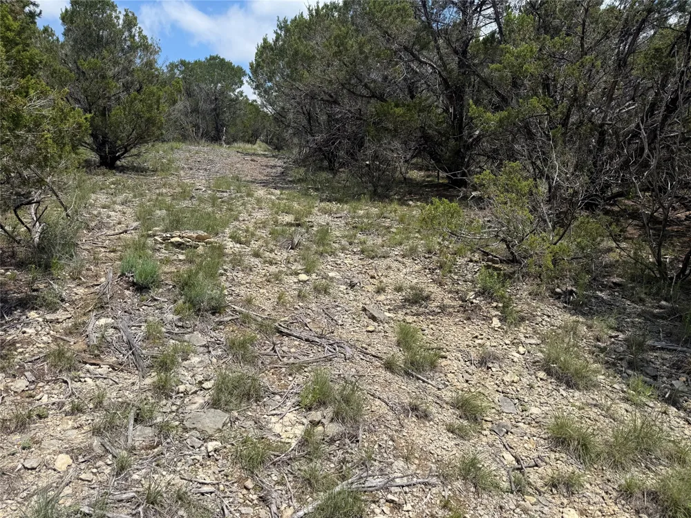 10151 Horizon View Tolar, TX 76476