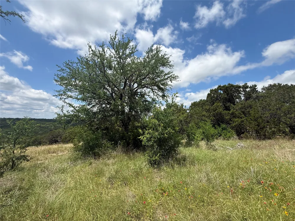 10151 Horizon View Tolar, TX 76476