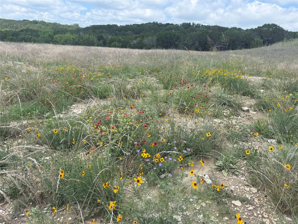 10151 Horizon View Tolar, TX 76476