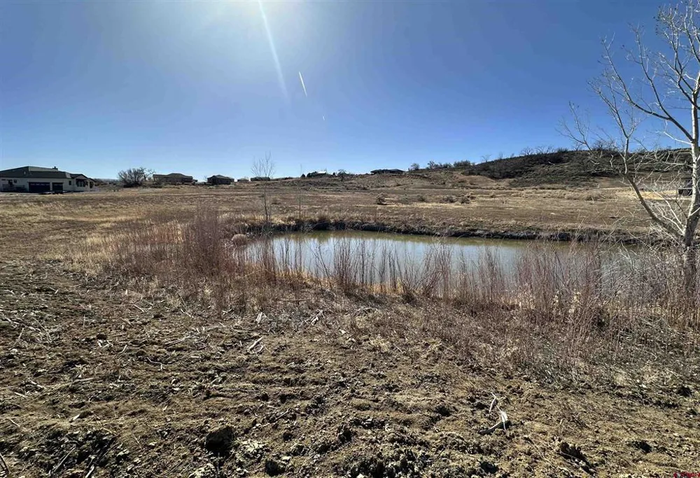 59440 Lone Eagle Road Montrose, CO 81403