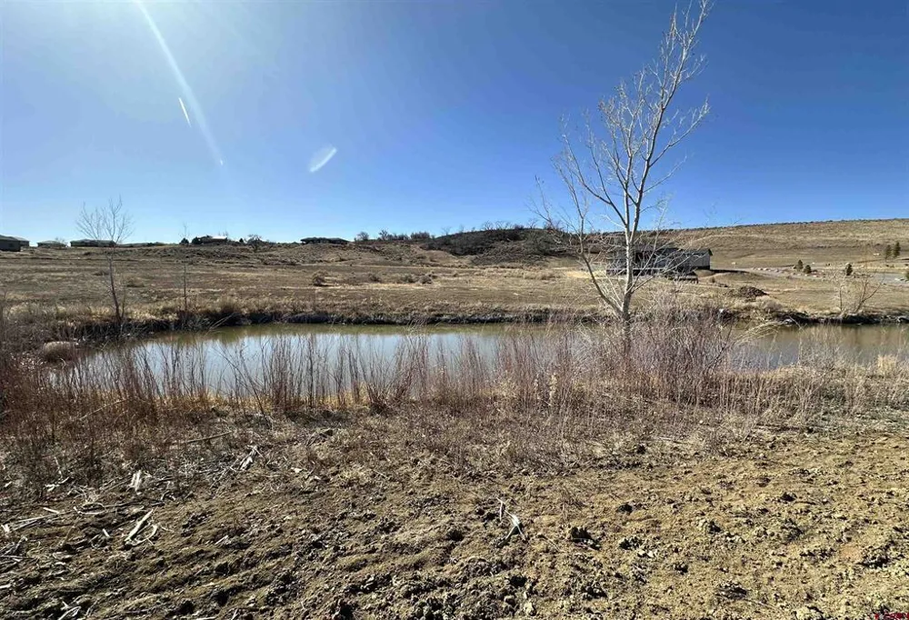 59440 Lone Eagle Road Montrose, CO 81403