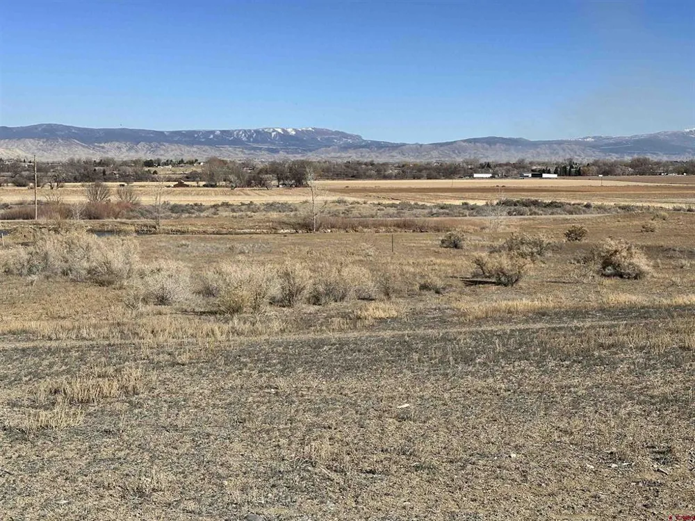 59440 Lone Eagle Road Montrose, CO 81403