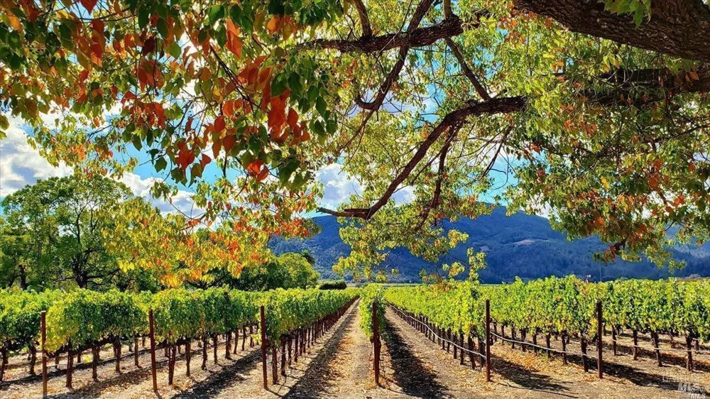 1876 Heritage Way Yountville, CA 94599