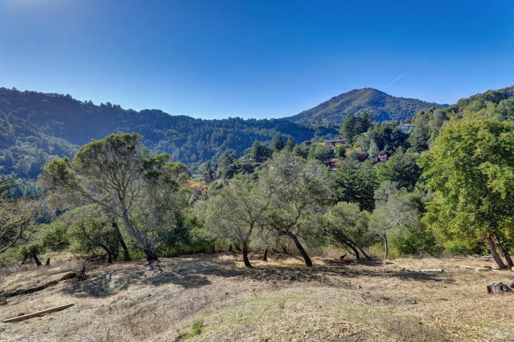 50 Oak Road Larkspur, CA 94939