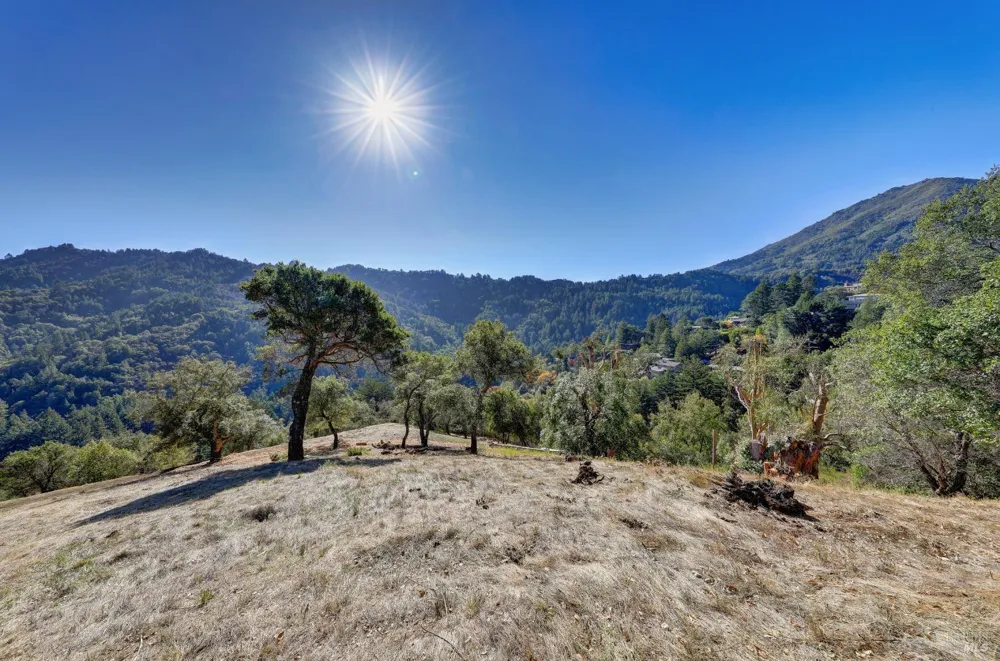50 Oak Road Larkspur, CA 94939