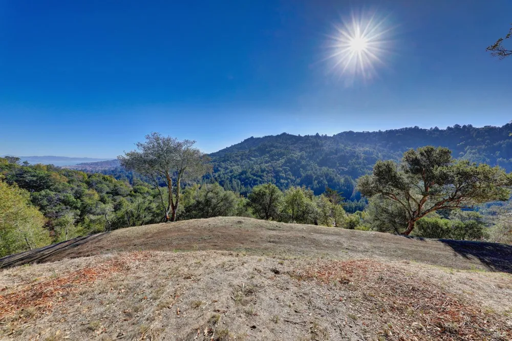 50 Oak Road Larkspur, CA 94939