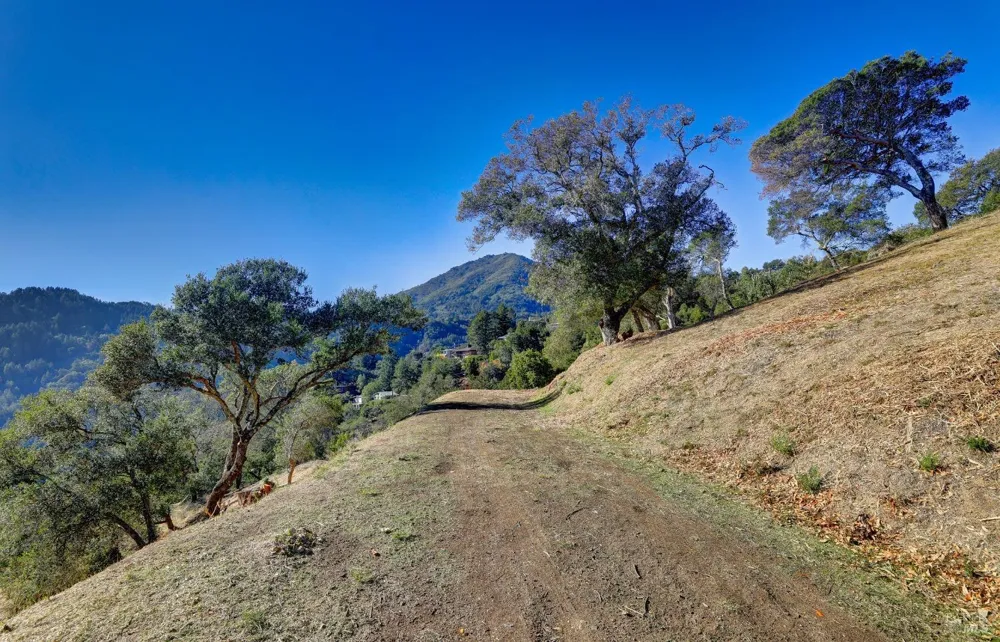50 Oak Road Larkspur, CA 94939