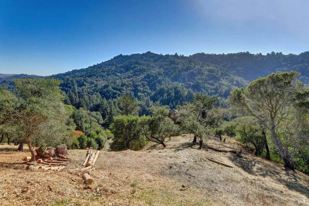50 Oak Road Larkspur, CA 94939