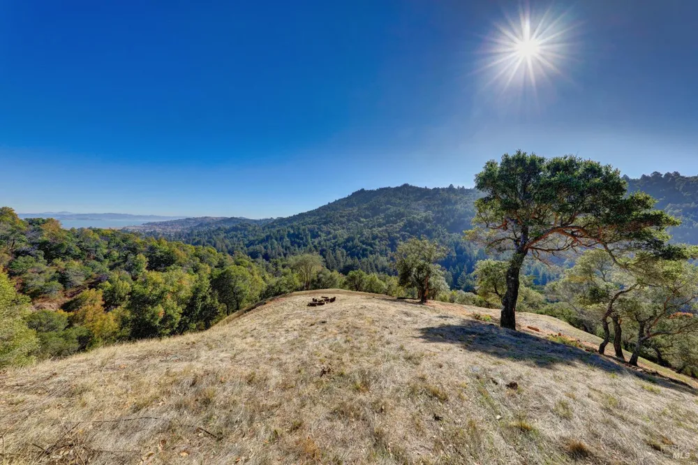50 Oak Road Larkspur, CA 94939