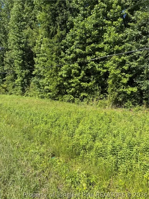 Lemon Springs Road