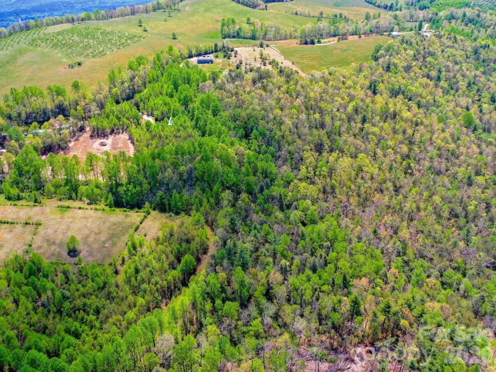 3670 Summer Road Hendersonville, NC 28792