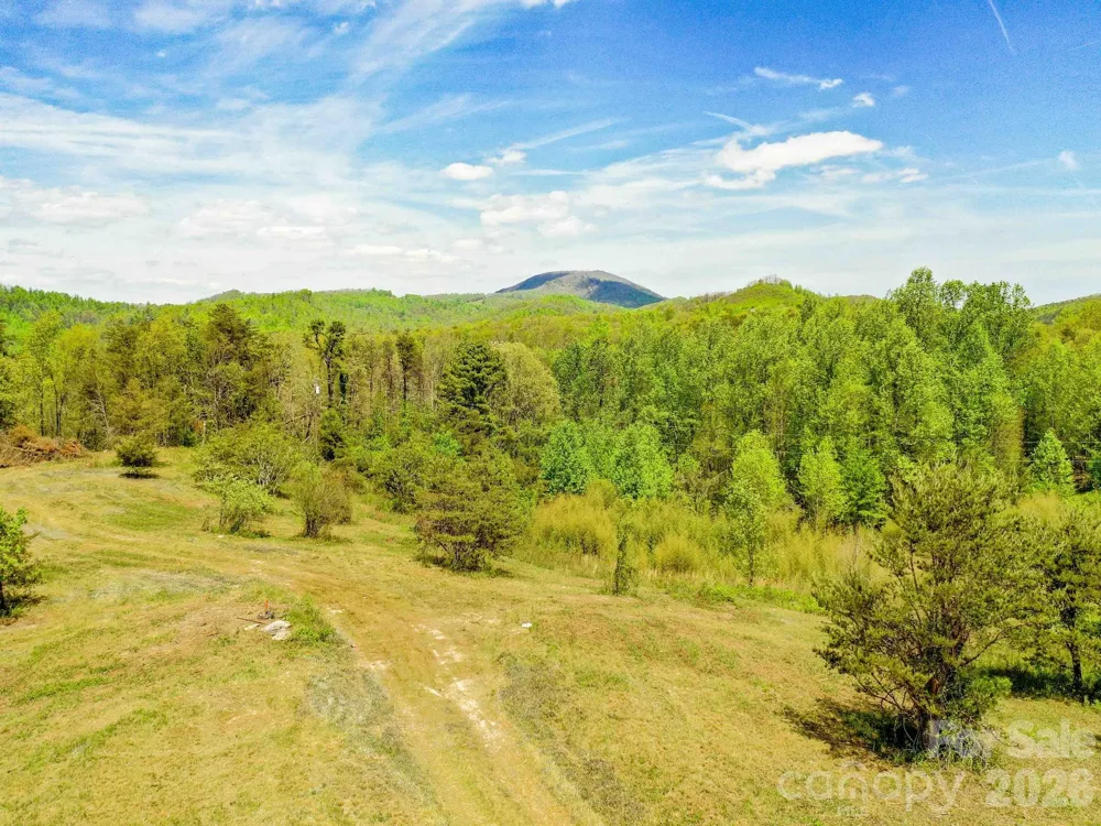 3670 Summer Road Hendersonville, NC 28792