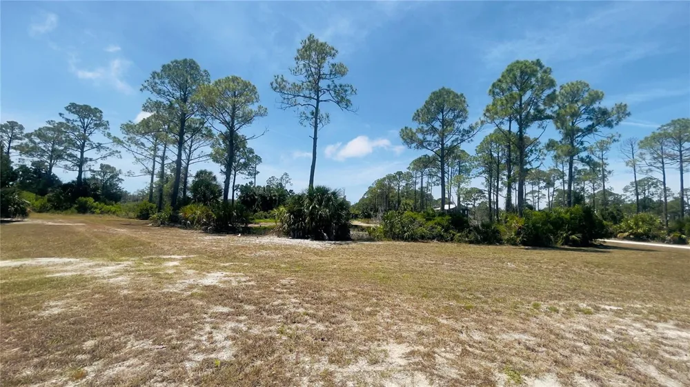 TBD SW 101ST LN Cedar Key, FL 32625