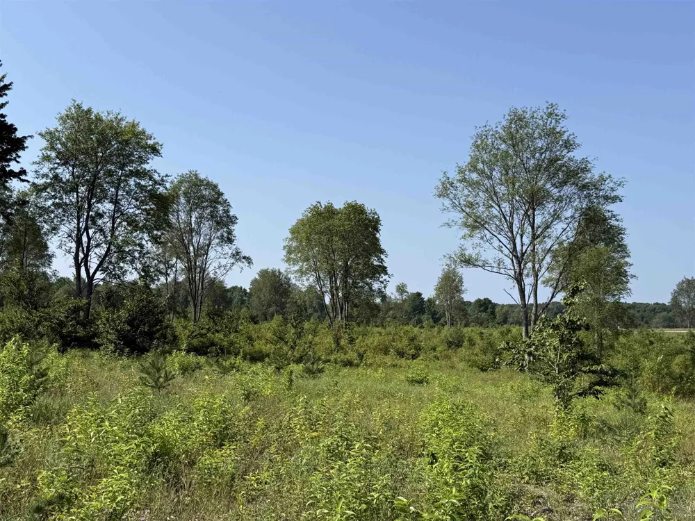 E Kasson Road Kasson Township, MI 49664
