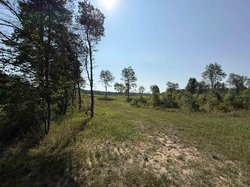 E Kasson Road Kasson Township, MI 49664