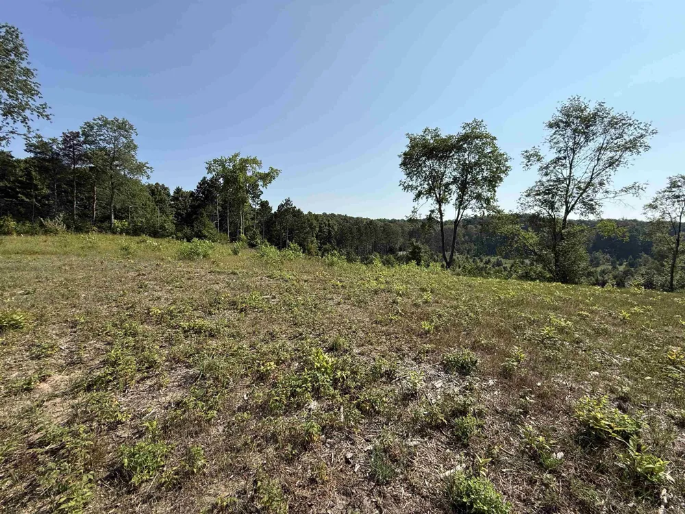 E Kasson Road Kasson Township, MI 49664