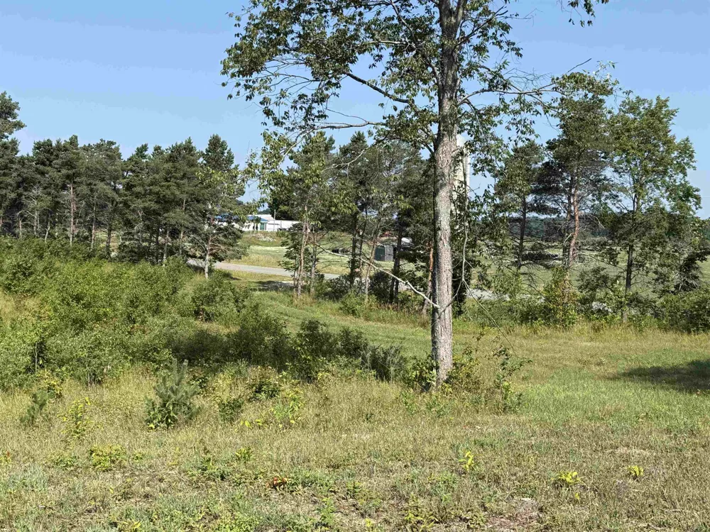 E Kasson Road Kasson Township, MI 49664