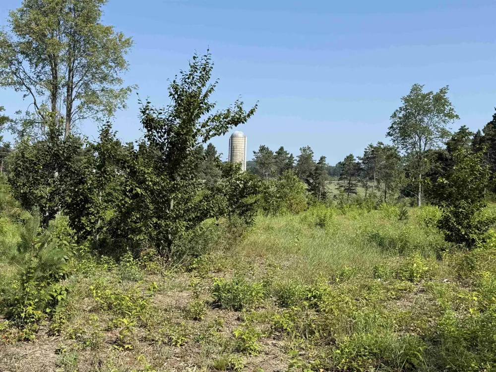 E Kasson Road Kasson Township, MI 49664