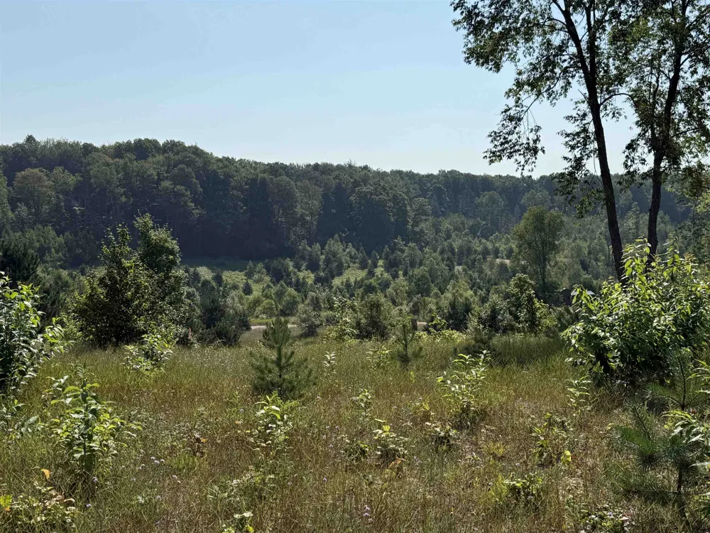 E Kasson Road Kasson Township, MI 49664