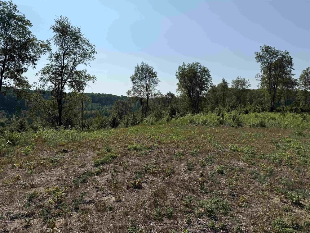 E Kasson Road Kasson Township, MI 49664
