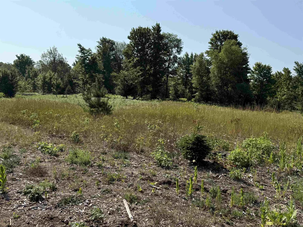 S Bright Road Kasson Township, MI 49664